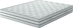 Chic Strom Brilliant Dream Halb-Doppel Orthopäd...