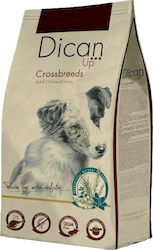 Dibaq Dican Up Cross Breeds 14kg Dibaq Dican Up Cross Breeds 14kg