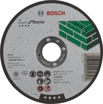 Bosch Δίσκος Κοπής Πέτρας Slicer/Coarse Grater Disc Construction Materials 125mm 1pcs