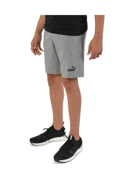 Puma Kids Athletic Shorts/Bermuda Essentials Gray