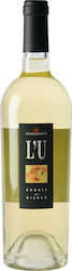 Lungarotti L'U Weiß Trocken 750ml Lungarotti L'U Weiß Trocken 750ml