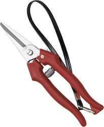 Ausonia Pruning Shears Grape