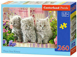 Kids Puzzle Three Grey Kittens 260pcs Castorland