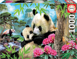 Morning Panda Puzzle 2D 1000 Pieces