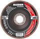 Raider Sanding Disc Φυλλαράκι A060 115mm Grinding Disc Metal 115mm