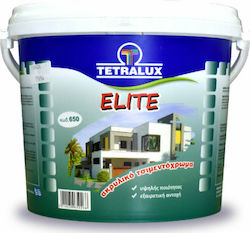 Tetralux Elite Plastic Acrilyc Paint for Exterior Use White 10lt