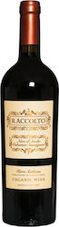 Mare Magnum Raccolto Ερυθρό Ξηρό 750ml