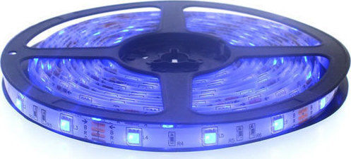 Atman Rezistent la apă Bandă LED 24V Albastru Lumină 5m Tip SMD5050