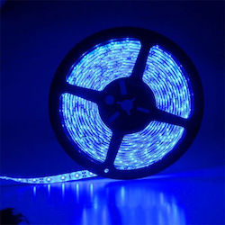 Atman Waterproof LED Strip Power Supply 12V with Blue Light Length 5m and 60 LEDs per Meter SMD3528