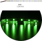 Adeleq LED Streifen Versorgung 12V mit Grün Licht Länge 5m und 30 LED pro Meter SMD5050