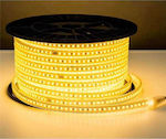 Optonica Bandă LED Alimentare 220V cu Lumină Alb Cald pe Metru și 120 LED-uri pe Metru SMD5730