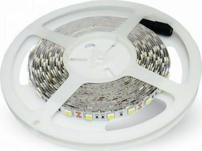 V-TAC Bandă LED Alimentare 12V cu Lumină Alb Rece Lungime 5m și 60 LED-uri pe Metru SMD5050