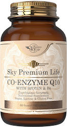 Sky Premium Life Co Enzyme Q10 with Biotin & Vitamin B6 60 file