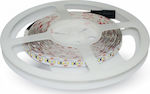 V-TAC Bandă LED Alimentare 12V cu Lumină Alb Rece Lungime 5m și 120 LED-uri pe Metru SMD3528