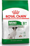 Royal Canin Mini Adult 8+ 8kg Hrană Uscată pentru Câini Adulți de Rase Mici cu Porumb, Păsări de curte și Orez
