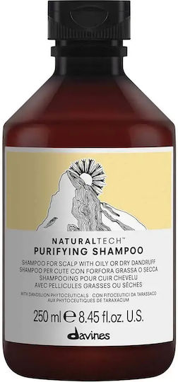Davines Natural Tech Purifying Шампоан Против Пърхот и Суха Кожа за Всички Типове Коса 250ml
