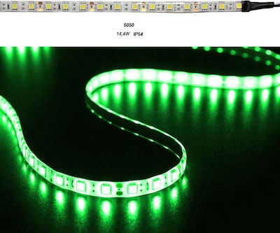 Adeleq LED Streifen Versorgung 24V mit Grün Licht Länge 5m und 60 LED pro Meter SMD5050
