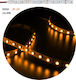 Adeleq LED Strip Power Supply 24V with Orange Light Length 5m and 60 LEDs per Meter SMD5050