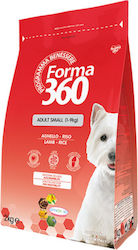 Forma 360 Adult Small 2kg