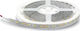 Geyer Αδιάβροχη Ταινία LED 12V Ψυχρό Λευκό Φως 5m Τύπου SMD3528