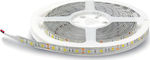 Lucas LED Strip Power Supply 12V with Warm White Light Length 5m and 60 LEDs per Meter SMD5050