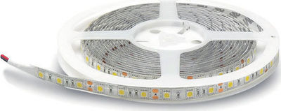 Lucas LED Strip Power Supply 12V with Cold White Light Length 5m and 60 LEDs per Meter SMD3528