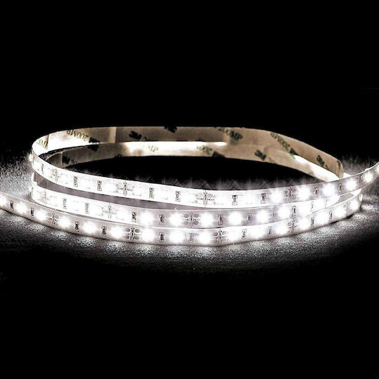 Lucas Ταινία LED 12V Ψυχρό Λευκό Φως 5m Τύπου SMD5050