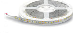 Lucas Waterproof LED Strip Power Supply 12V with Blue Light Length 5m and 60 LEDs per Meter SMD5050