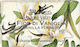 Florinda Săpun Vegetal Handmade Cu Glicerină 100gr