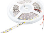 Cubalux Bandă LED Alimentare 12V cu Lumină Alb Rece Lungime 5m și 30 LED-uri pe Metru SMD2835