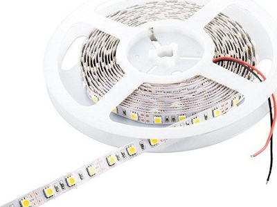 Cubalux Bandă LED Alimentare 12V cu Lumină Alb Cald Lungime 5m și 60 LED-uri pe Metru SMD2835