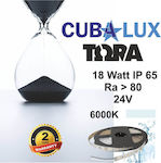 Cubalux Rezistentă la apă Bandă LED Alimentare 24V cu Lumină Alb Rece Lungime 5m și 96 LED-uri pe Metru SMD2835