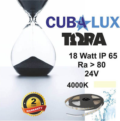 Cubalux Αδιάβροχη Ταινία LED Τροφοδοσίας 24V με Φυσικό Λευκό Φως Μήκους 5m και 96 LED ανά Μέτρο Τύπου SMD2835