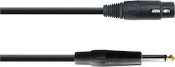 Audio Master TLC052