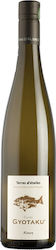 Domaine Mittnacht Freres Gyotaku Λευκό Ξηρό 750ml Domaine Mittnacht Freres Gyotaku Λευκό Ξηρό 750ml