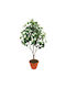 Artekko Artificial Plant in Pot White 100cm 1pcs 6-0006