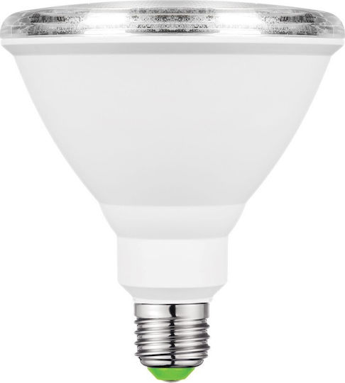 VK Lighting LED Bulb 10W for Socket E27 and Shape PAR38 Warm White 1000lm