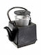 Teapot with Filter Cast Iron Black 800ml