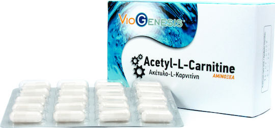 Viogenesis Acetyl L-Carnitine 350mg 60 κάψουλες