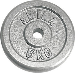 Amila Δίσκος Μεταλλικός 1 x 5kg Φ28mm