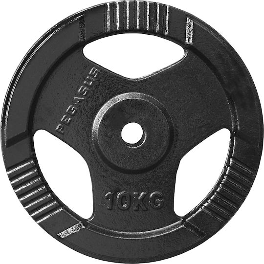 Pegasus Δίσκος Μεταλλικός 1 x 10kg Φ29mm