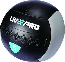 Live Pro Wall Ball 35cm 5kg Black