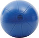 Toorx Ball Pilates 55cm in Blau Farbe