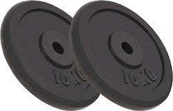 vidaXL Set of Plates Metal 2 x 10kg Φ30mm