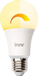 Innr Smart RB 175 W LED 175W E27 Θερμό Λευκό