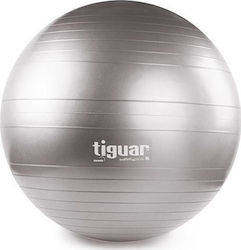 Tiguar Safety Plus Pilates Ball 65cm Gray