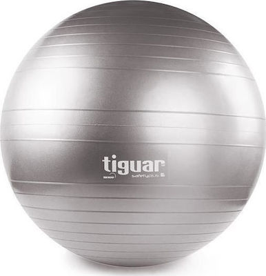 Tiguar Safety Plus Übungsbälle Pilates 65cm in Gray Farbe