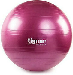 Tiguar Safety Plus Pilates Ball 65cm Purple