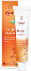 Weleda Arnica Cooling Gel Gel de crioterapie 25gr Weleda Arnica Cooling Gel Gel de crioterapie 25gr