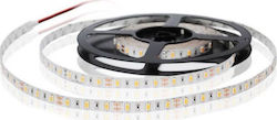 Fos me Bandă LED Alimentare 12V cu Lumină Alb Cald Lungime 5m și 60 LED-uri pe Metru SMD5050